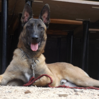 Photo de profil de Jaker