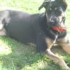 Photo de Xzena