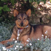 Photo de profil de Gaia