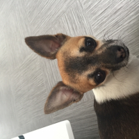 Photo de profil de Hypso
