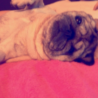 Photo de profil de bobine