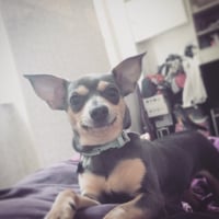 Photo de profil de Kalvin