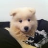 Photo de Isko