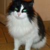 Photo de Ulysse