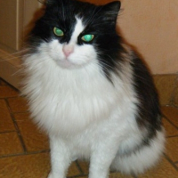 Photo de profil de Ulysse