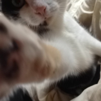 Photo de profil de Kanelle