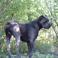Photo de profil de UGO 