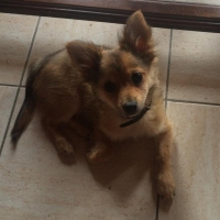 Photo de profil de eden