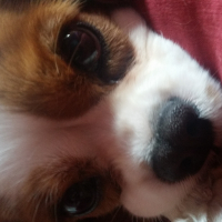 Photo de profil de Happy 