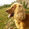 Photo de eyton