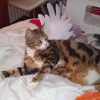 Photo de o'malley