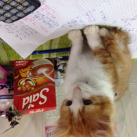 Photo de profil de Michou