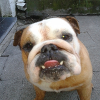 Photo de profil de vicky