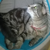 Photo de profil de Oscar
