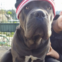 Photo de profil de Haka