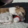 Photo de Djynn&Qochata