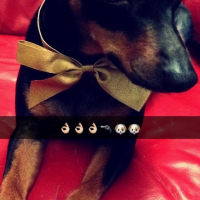 Photo de profil de Pancho 