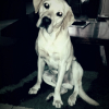 Photo de funky