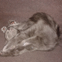 Photo de profil de nala