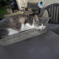 Photo de profil de Léa