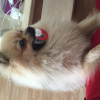 Photo de profil de Iglou