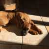 Photo de Jazz