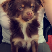 Photo de profil de Kyto 