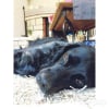 Photo de Fidji
