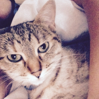 Photo de profil de Grisette