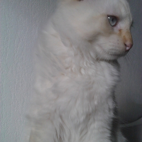 Photo de profil de JETSAN