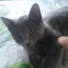 Photo de JIHAN