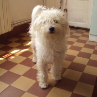 Photo de profil de Ileven