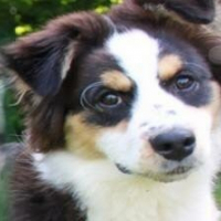 Photo de profil de Lexie