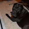 Photo de Junior