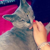 Photo de profil de Grinette