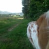 Photo de edji