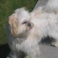 Photo de profil de Teena