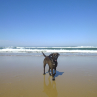 Photo de profil de DYNA