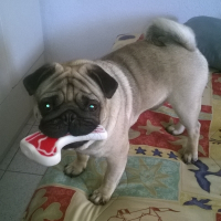 Photo de profil de ity
