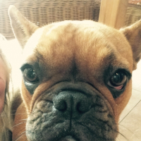 Photo de profil de Snooky 