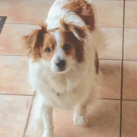 Photo de profil de Dodger