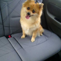 Photo de profil de Holly