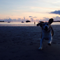 Photo de profil de Abbytwo