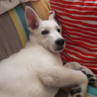 Photo de profil de Doom