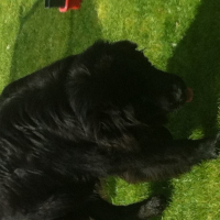 Photo de profil de Doudou