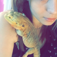 Photo de profil de Zelda 