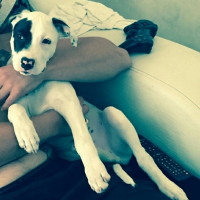 Photo de profil de Tyson