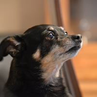Photo de profil de kiki
