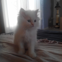 Photo de profil de max