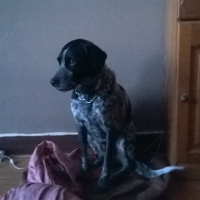 Photo de profil de chips